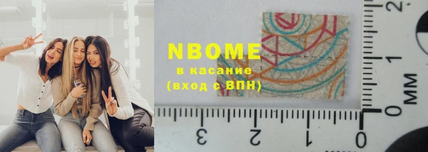 сатива Каменногорск