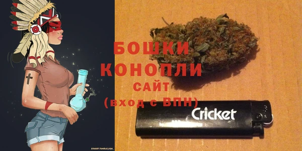 кокс Касимов