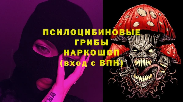 сатива Каменногорск
