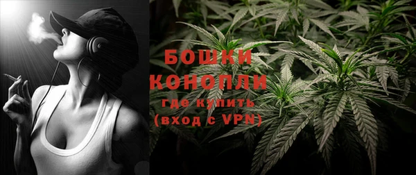 прущая мука Каменка